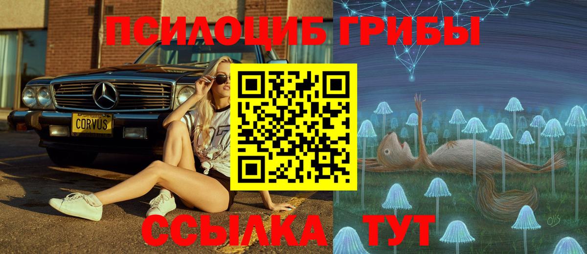 Псилоцибиновые грибы ЛСД Каспийск