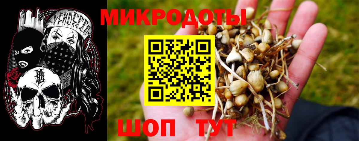 Псилоцибиновые грибы MAGIC MUSHROOMS  Галлюциногенные грибы мицелий  Каспийск  Вход с VPN 